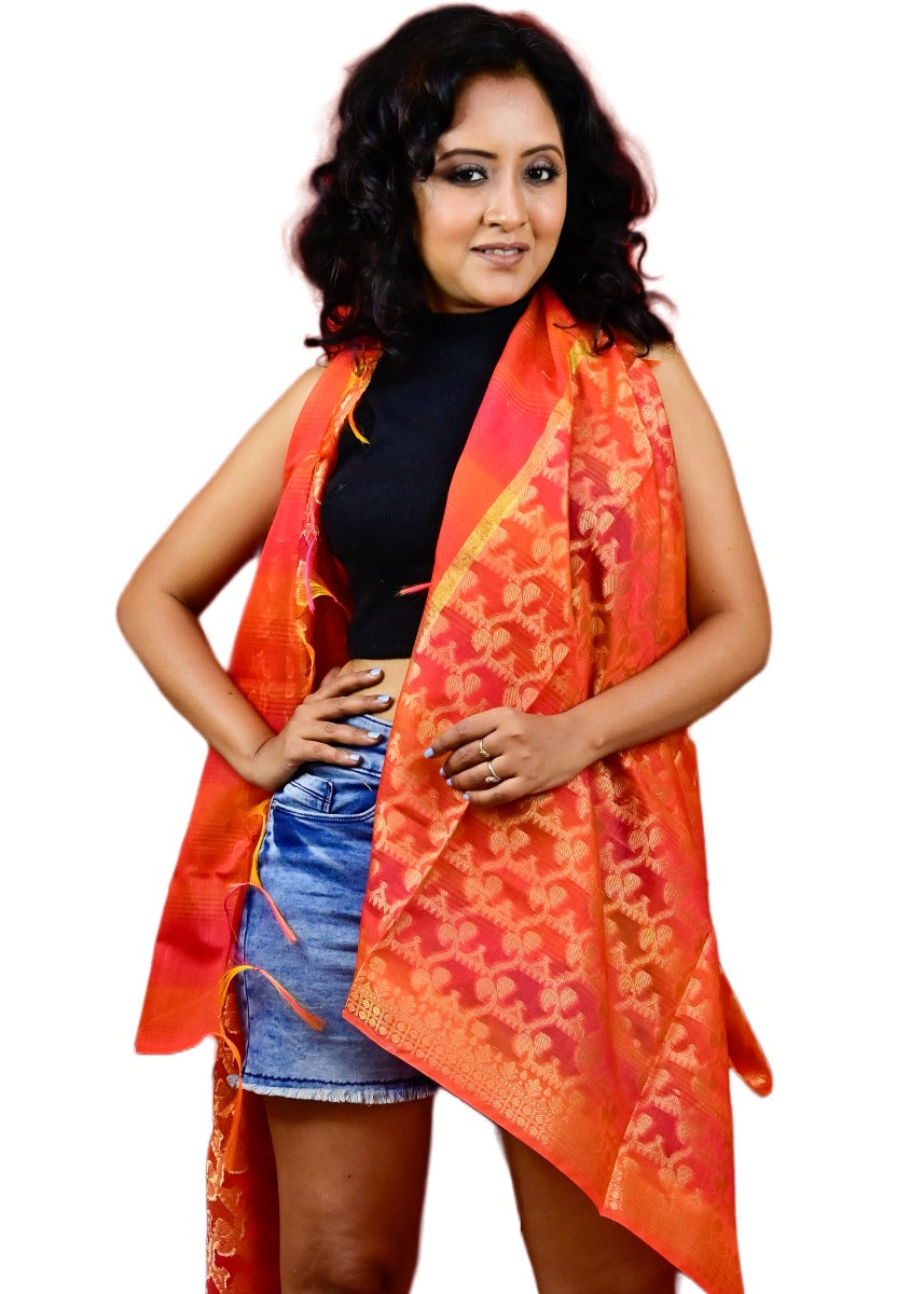 Fartila 081669 Red Chanderi Silk Banarasi Dupatta