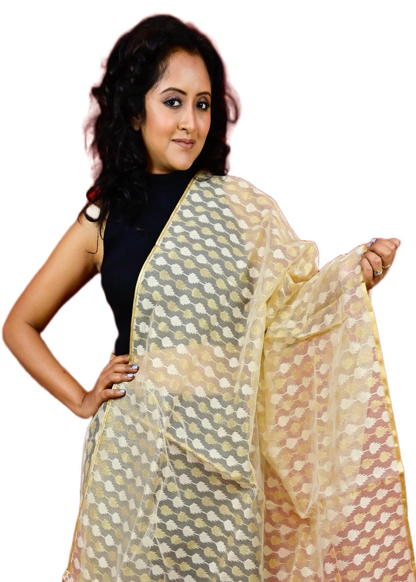 Fartila 081676 Golden Raw Silk Banarasi Dupatta