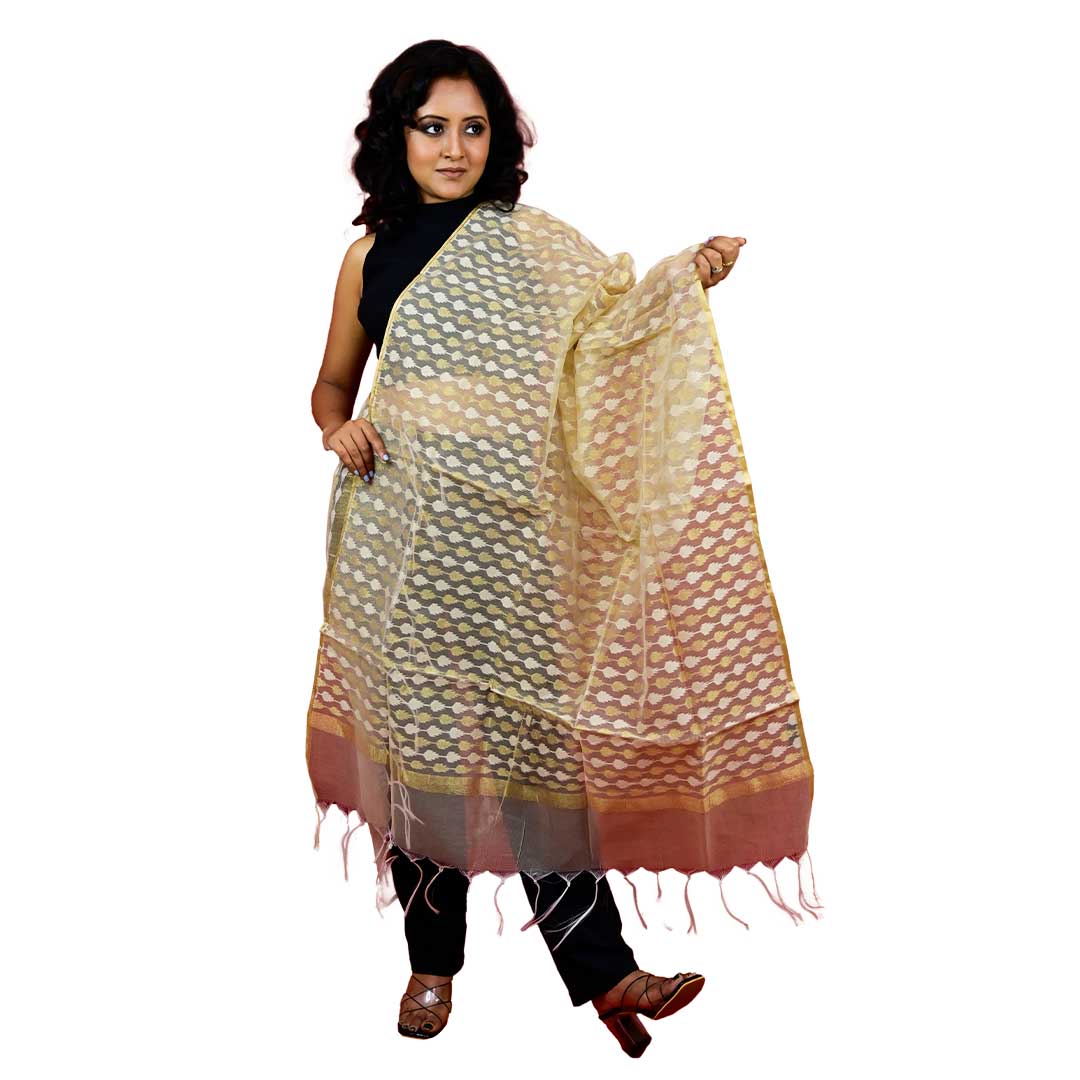 Fartila 081676 Golden Raw Silk Banarasi Dupatta