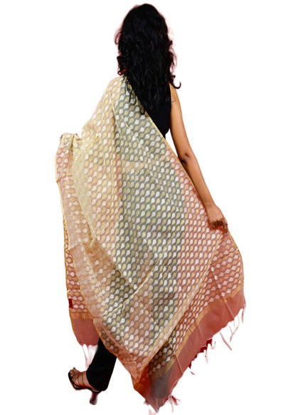 Fartila 081676 Golden Raw Silk Banarasi Dupatta
