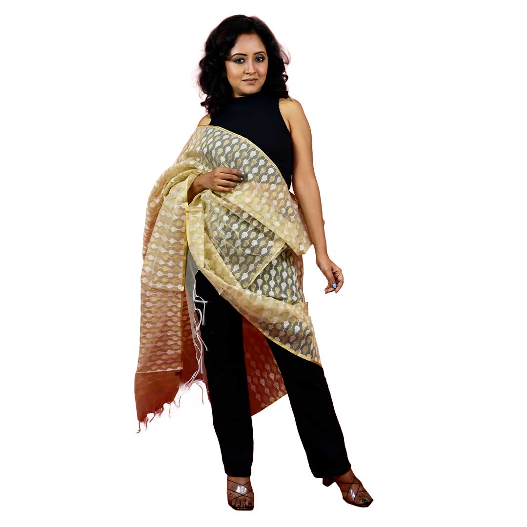 Fartila 081676 Golden Raw Silk Banarasi Dupatta
