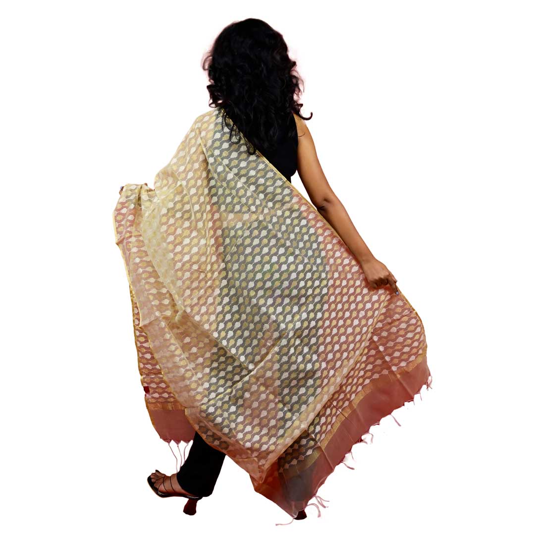 Fartila 081676 Golden Raw Silk Banarasi Dupatta