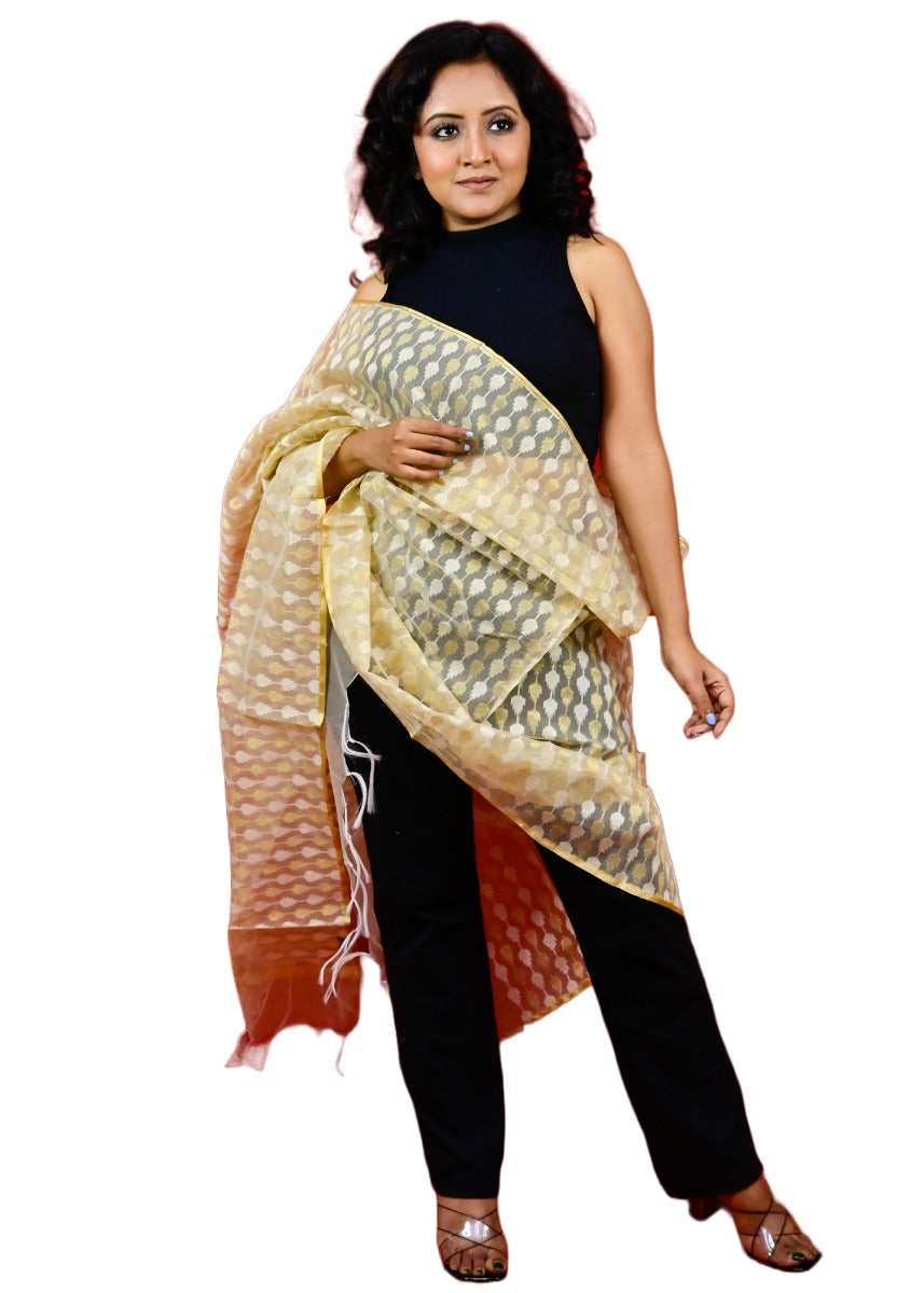 Fartila 081676 Golden Raw Silk Banarasi Dupatta