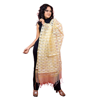 Fartila 081683 White Raw Silk Banarasi Dupatta