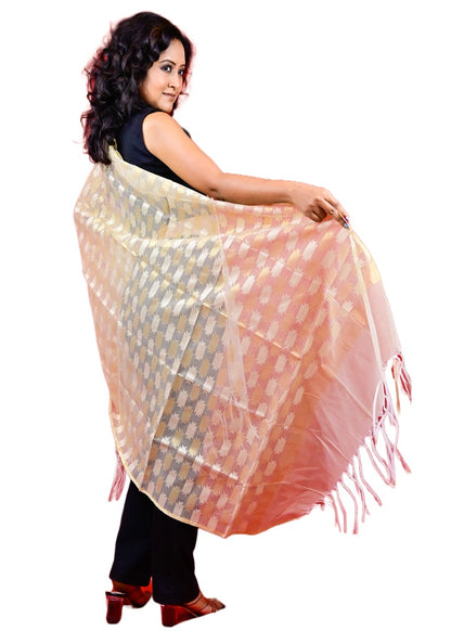 Fartila 081683 White Raw Silk Banarasi Dupatta