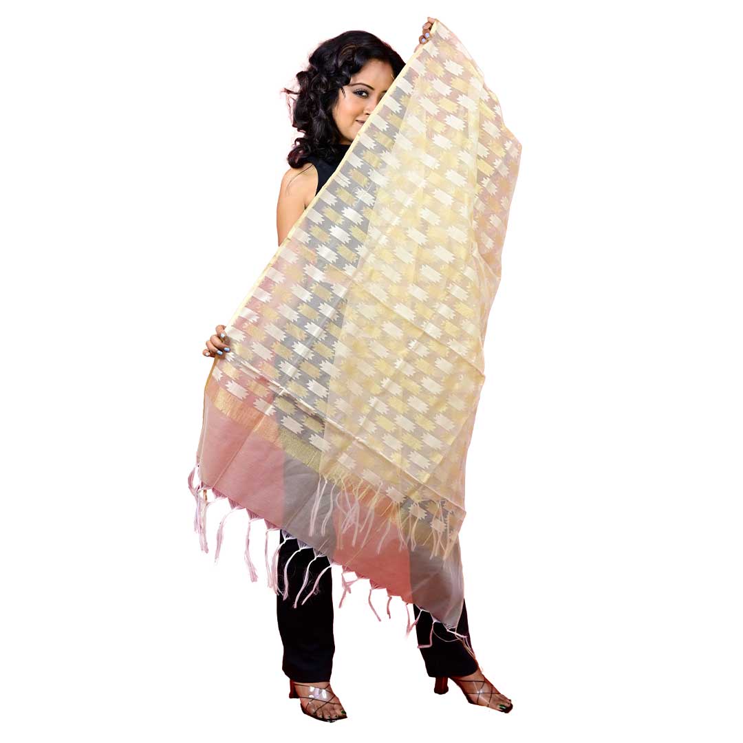 Fartila 081683 White Raw Silk Banarasi Dupatta