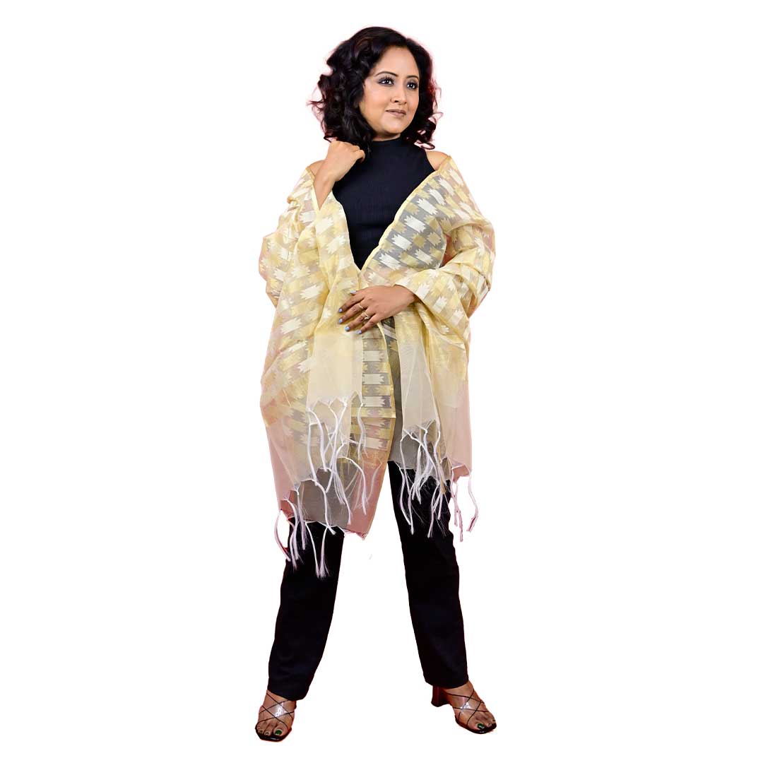 Fartila 081683 White Raw Silk Banarasi Dupatta