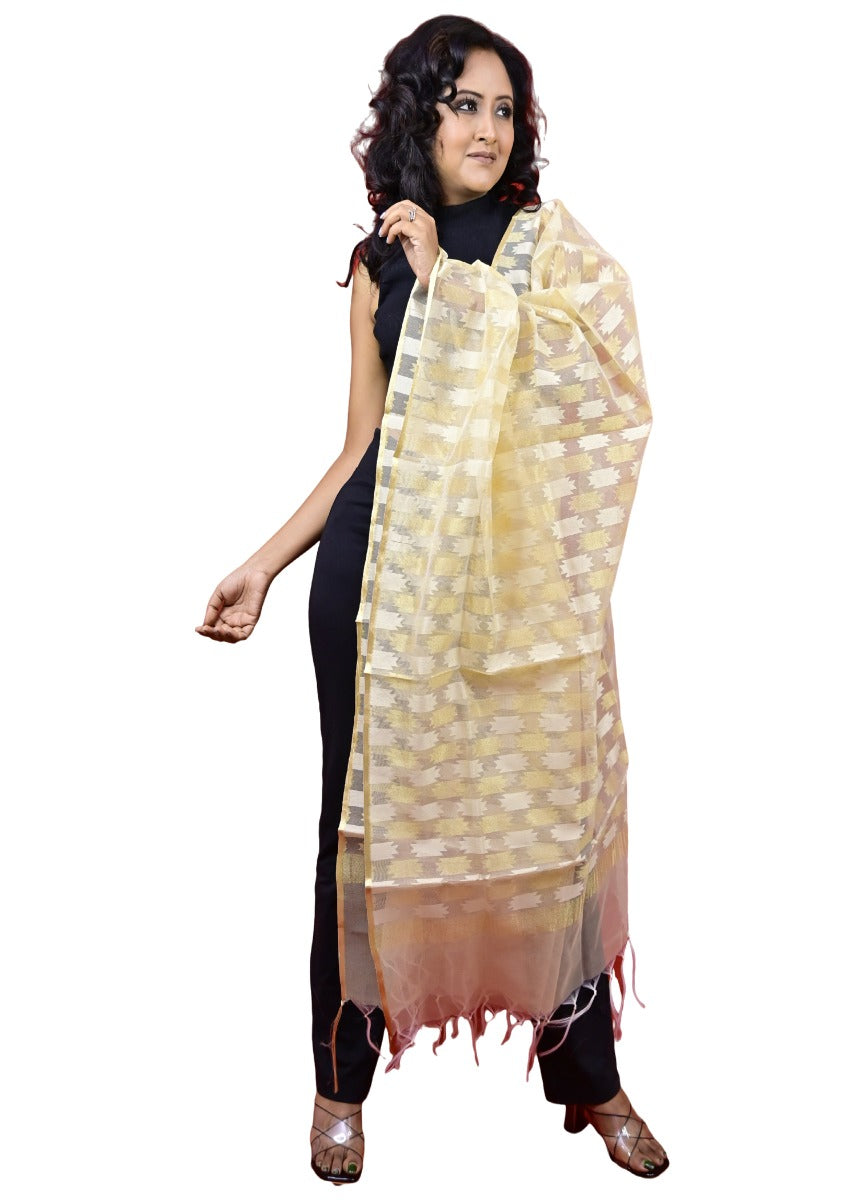 Fartila 081683 White Raw Silk Banarasi Dupatta