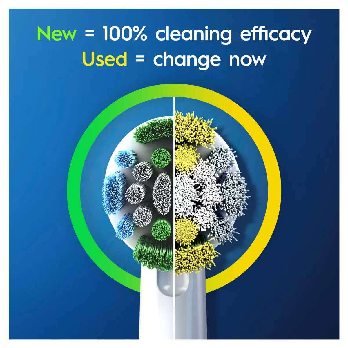 Oral-B White DB5 DB5010 Battery Operated Toothbrush