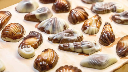 Guylian Artisan Belgian Chocolate Sea Shells Gift Box - 88 Sea Shells - 1000g