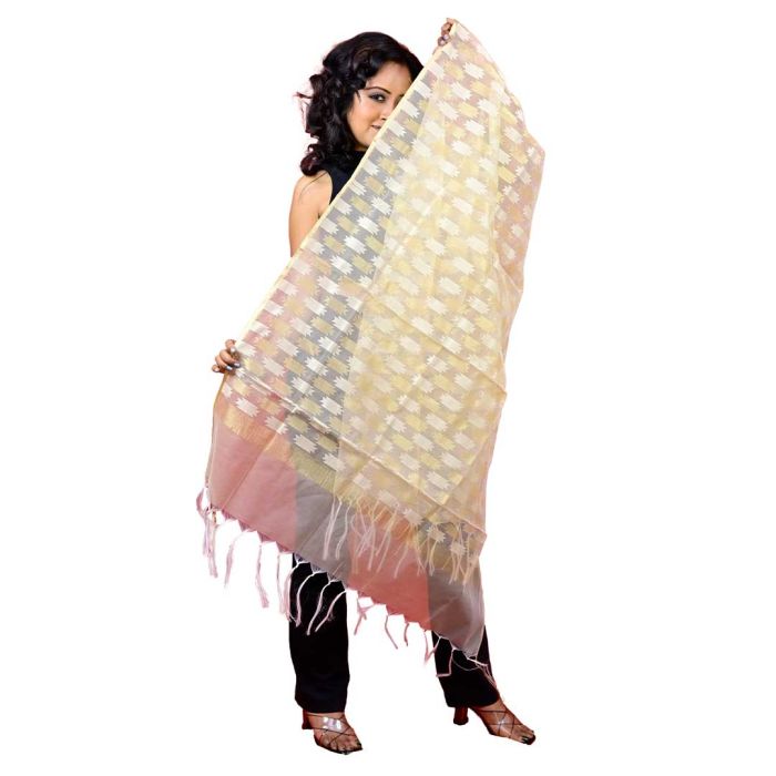 Fartila 081683 White Raw Silk Banarasi Dupatta 